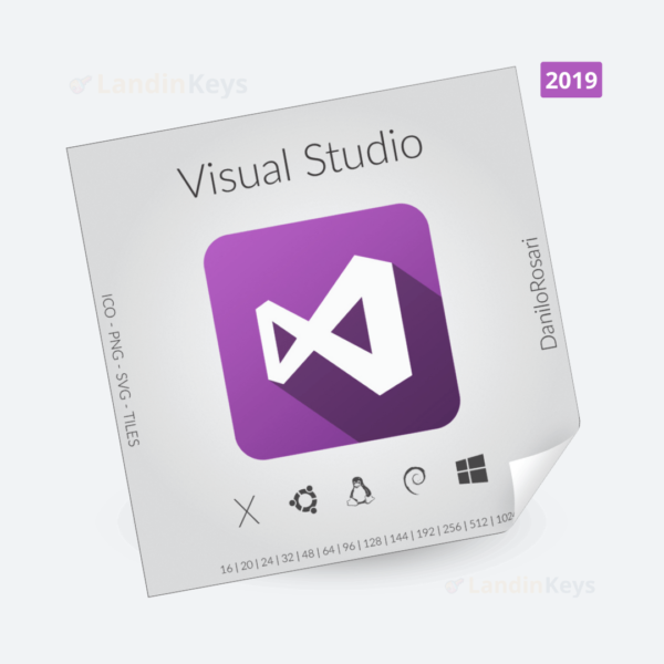 Visual Studio Pro 2019