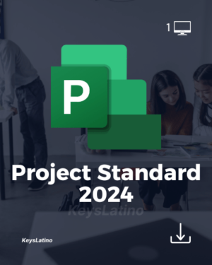 Project Standard 2024 vinculado a cuenta